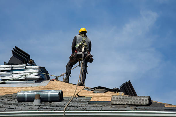 Professional Roof Replacement technician working in Hamilton, MS